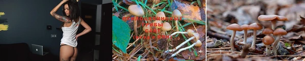 круглые Алексеевка
