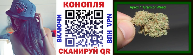МАРИХУАНА OG Kush  цены   ОМГ ОМГ tor  Киселёвск 